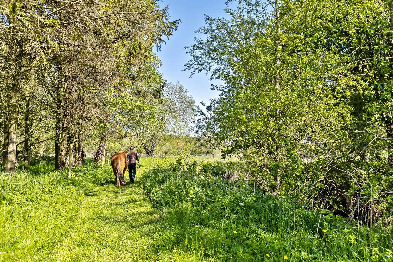 Gård/Skog, Skivarp 351, Skivarp, Skurup