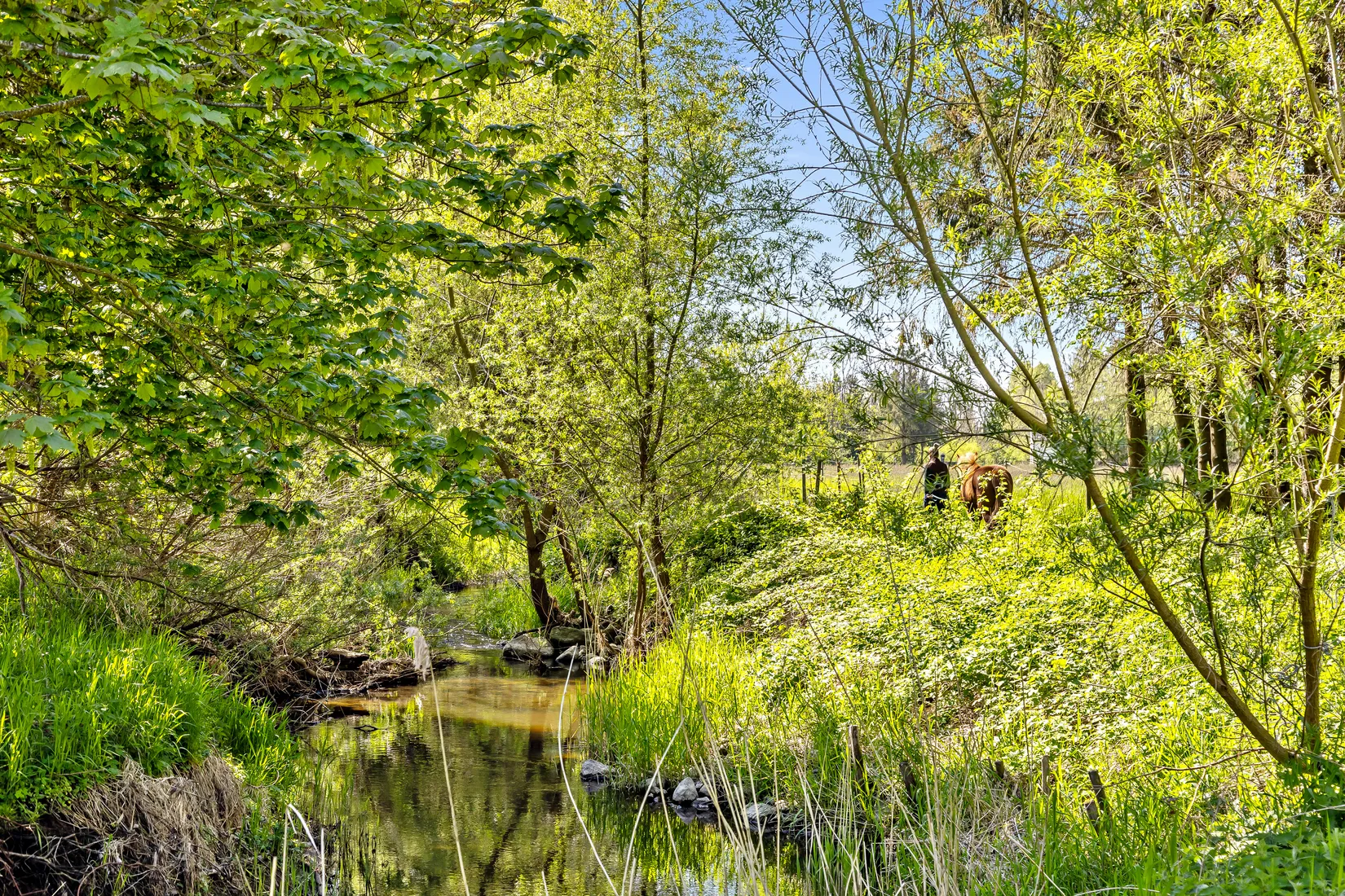 Gård/Skog, Skivarp 351, Skivarp, Skurup