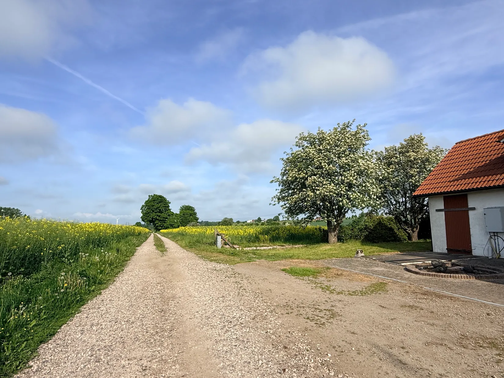 Gård/Skog, Brödåkra 267, Eslöv