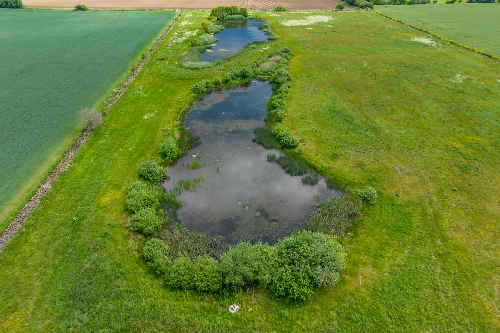 Gård/Skog, Brödåkra 267, Eslöv