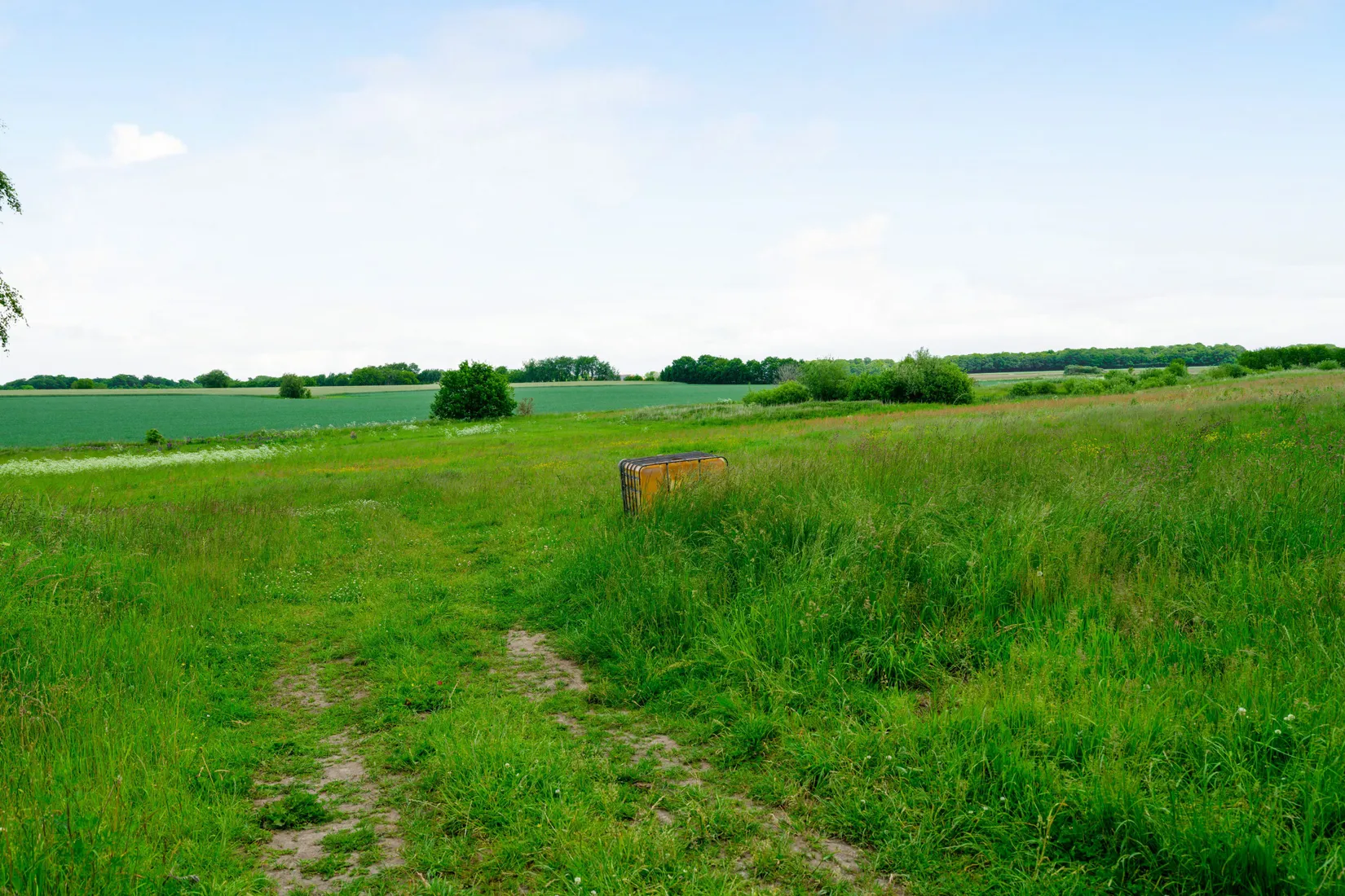 Gård/Skog, Brödåkra 267, Eslöv