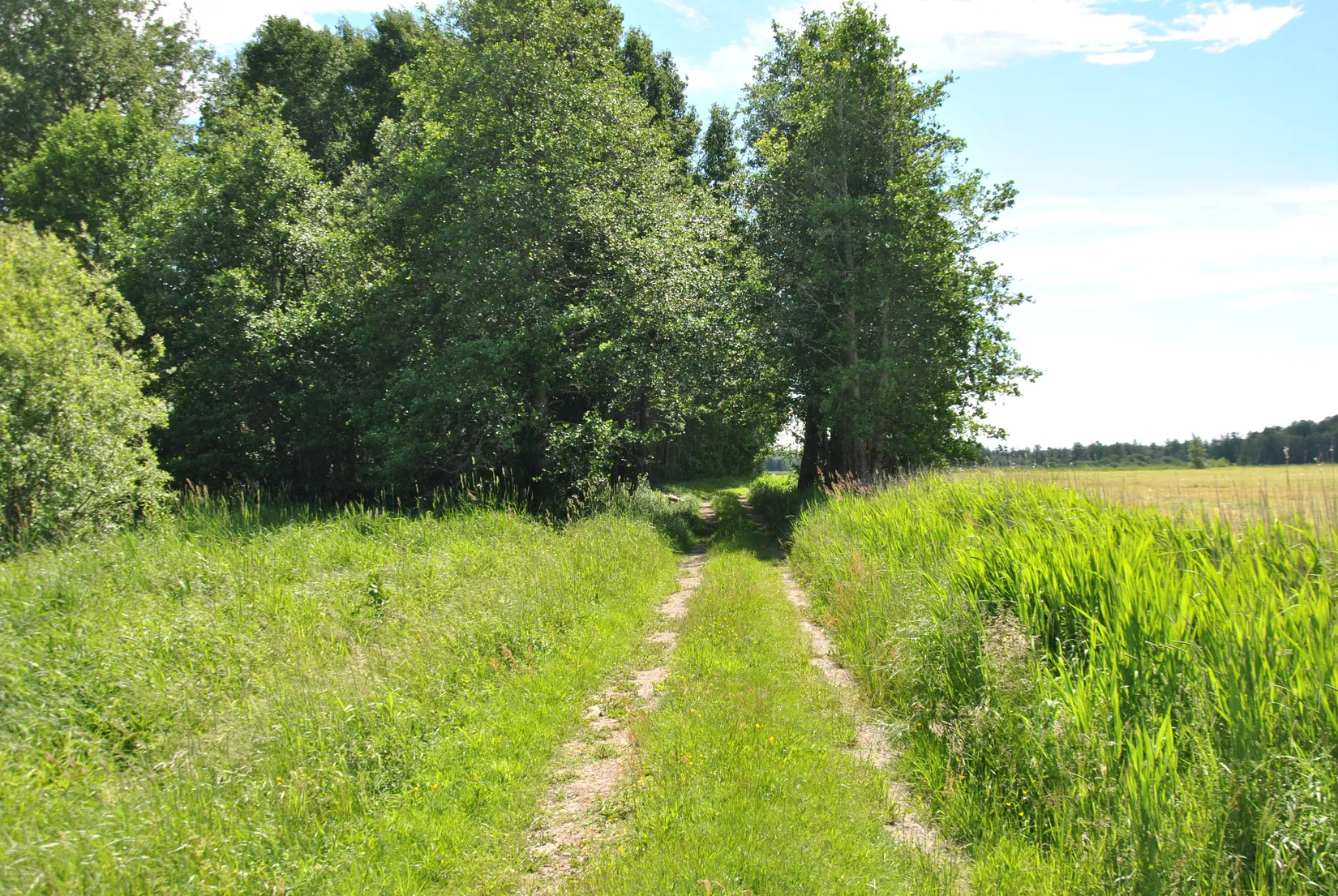 Fritidshus, Holmestrand 127, Holmestrand, Vänersborg
