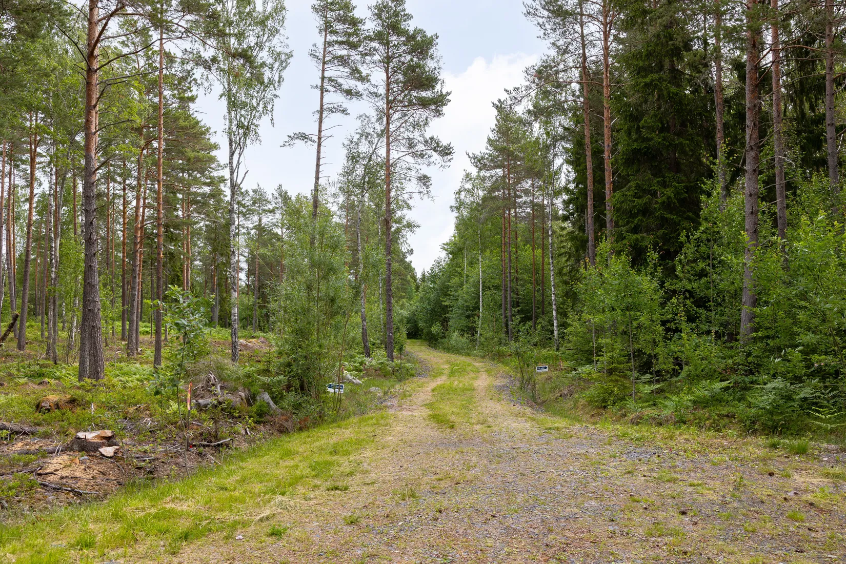 Tomt, Lösholmen, Söderön, Östhammar