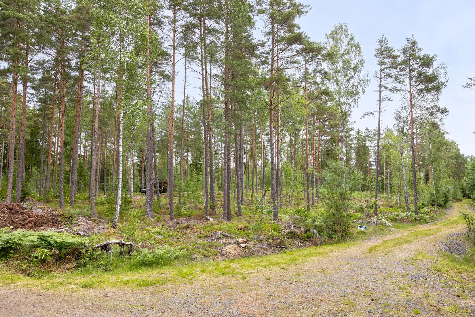 Tomt, Lösholmen, Söderön, Östhammar