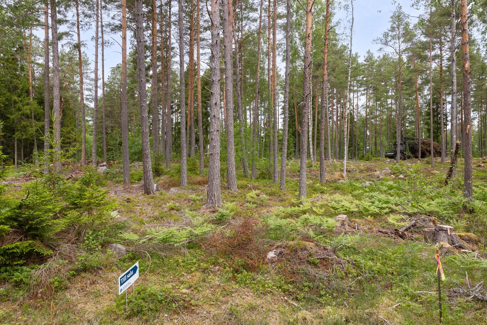 Tomt, Lösholmen, Söderön, Östhammar