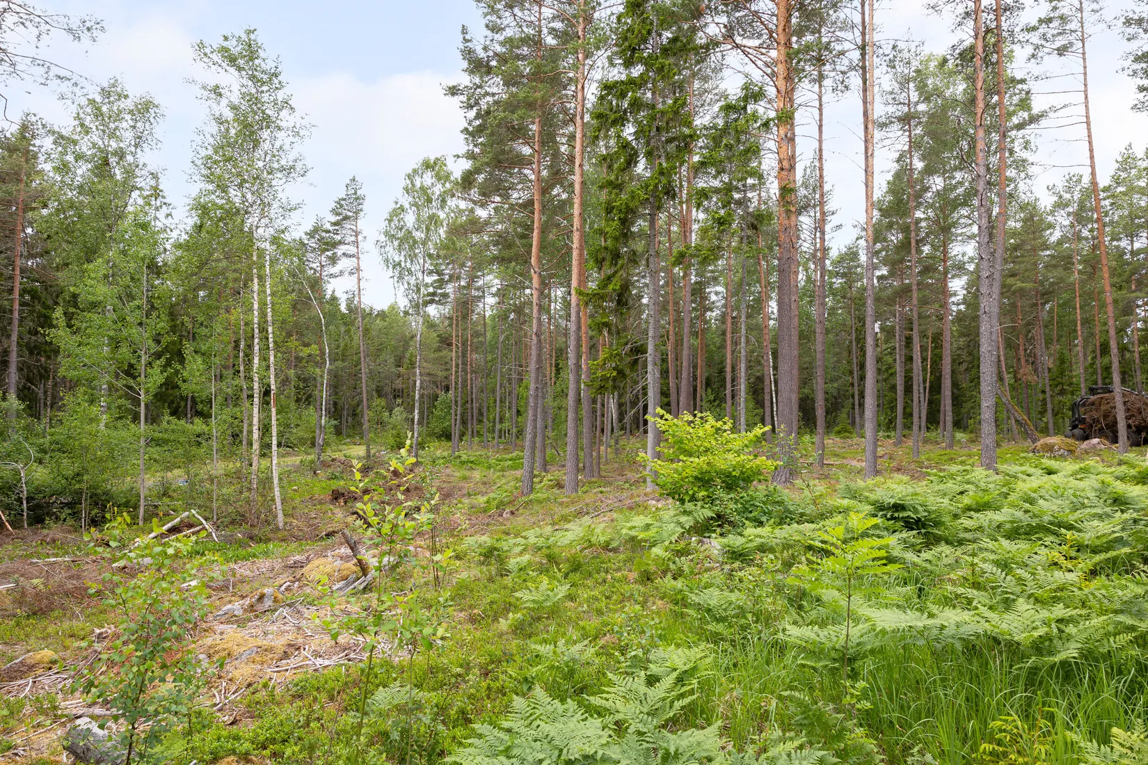 Tomt, Lösholmen, Söderön, Östhammar