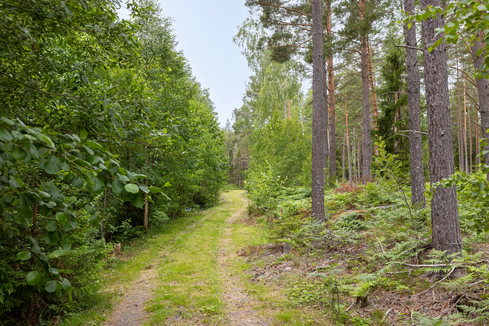 Tomt, Lösholmen, Söderön, Östhammar