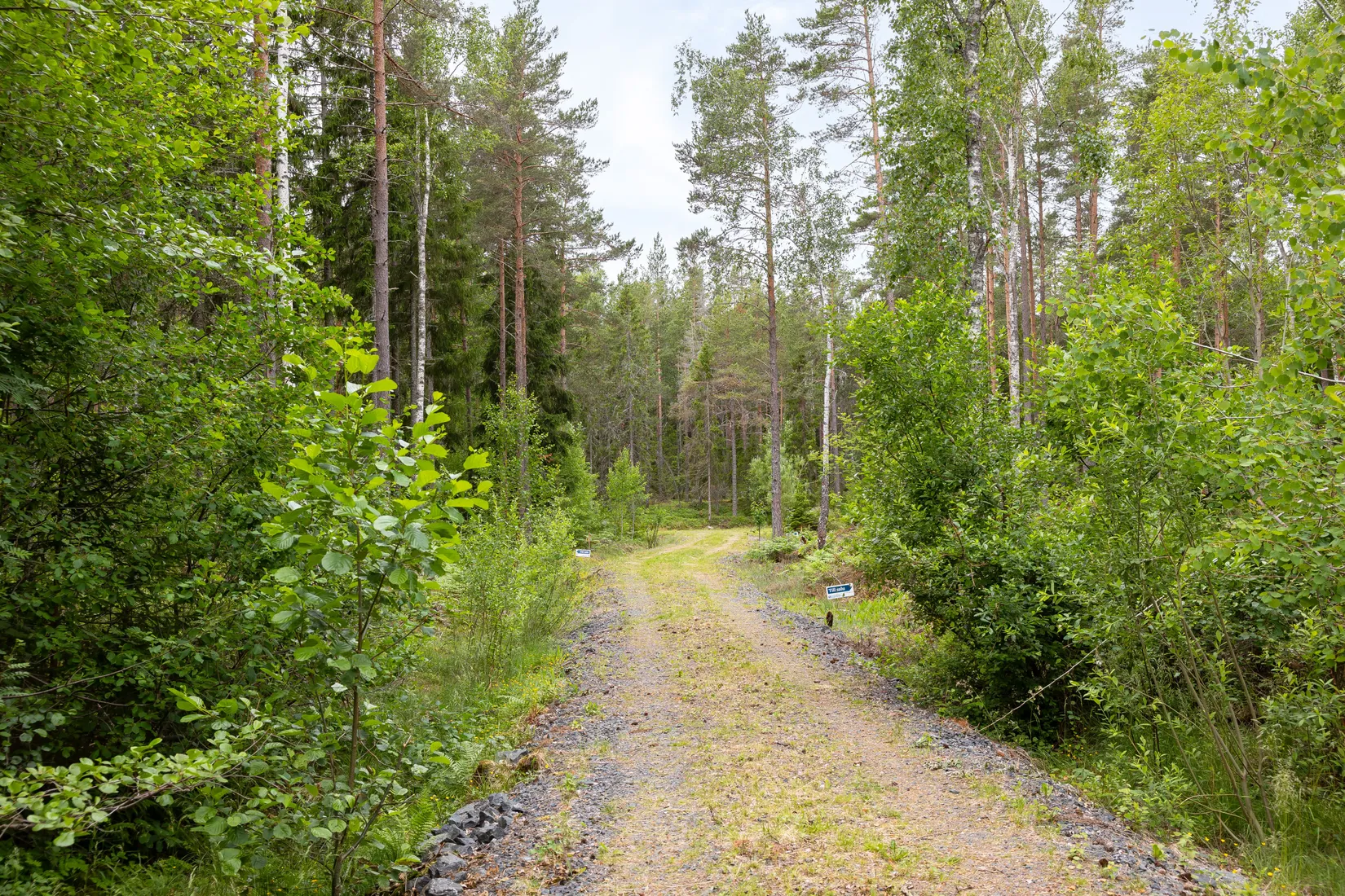 Tomt, Lösholmen, Söderön, Östhammar