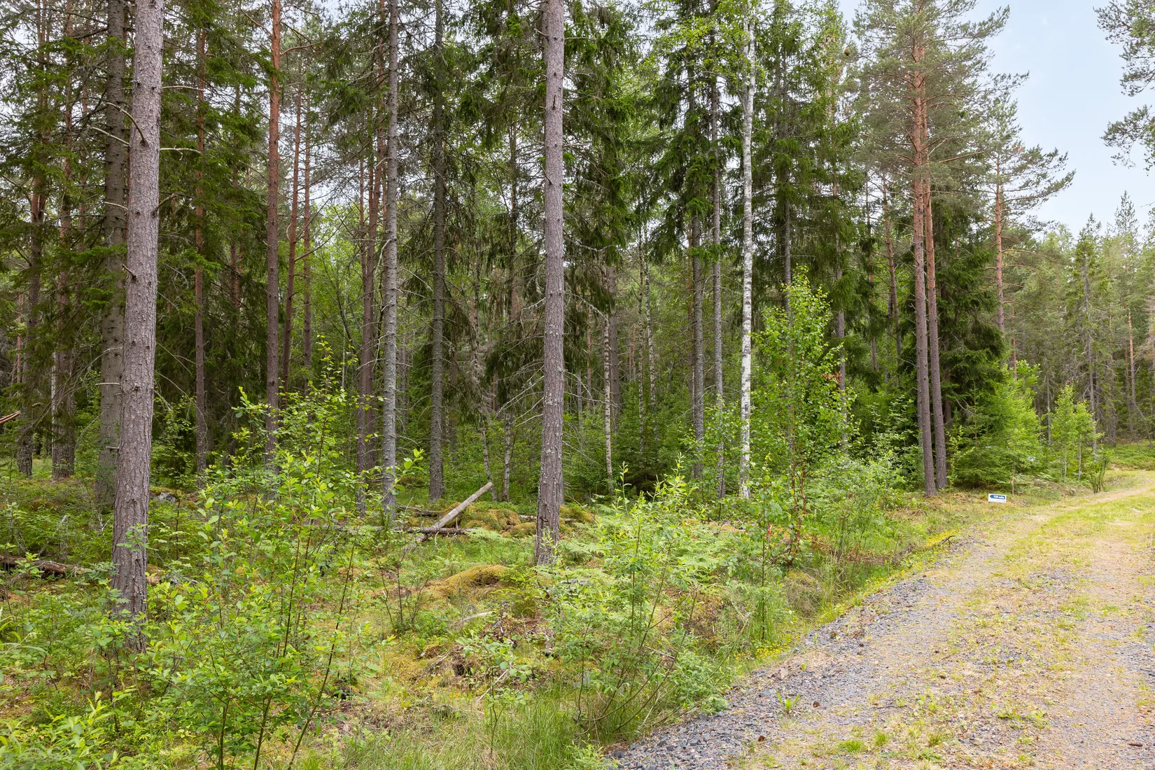 Tomt, Lösholmen, Söderön, Östhammar