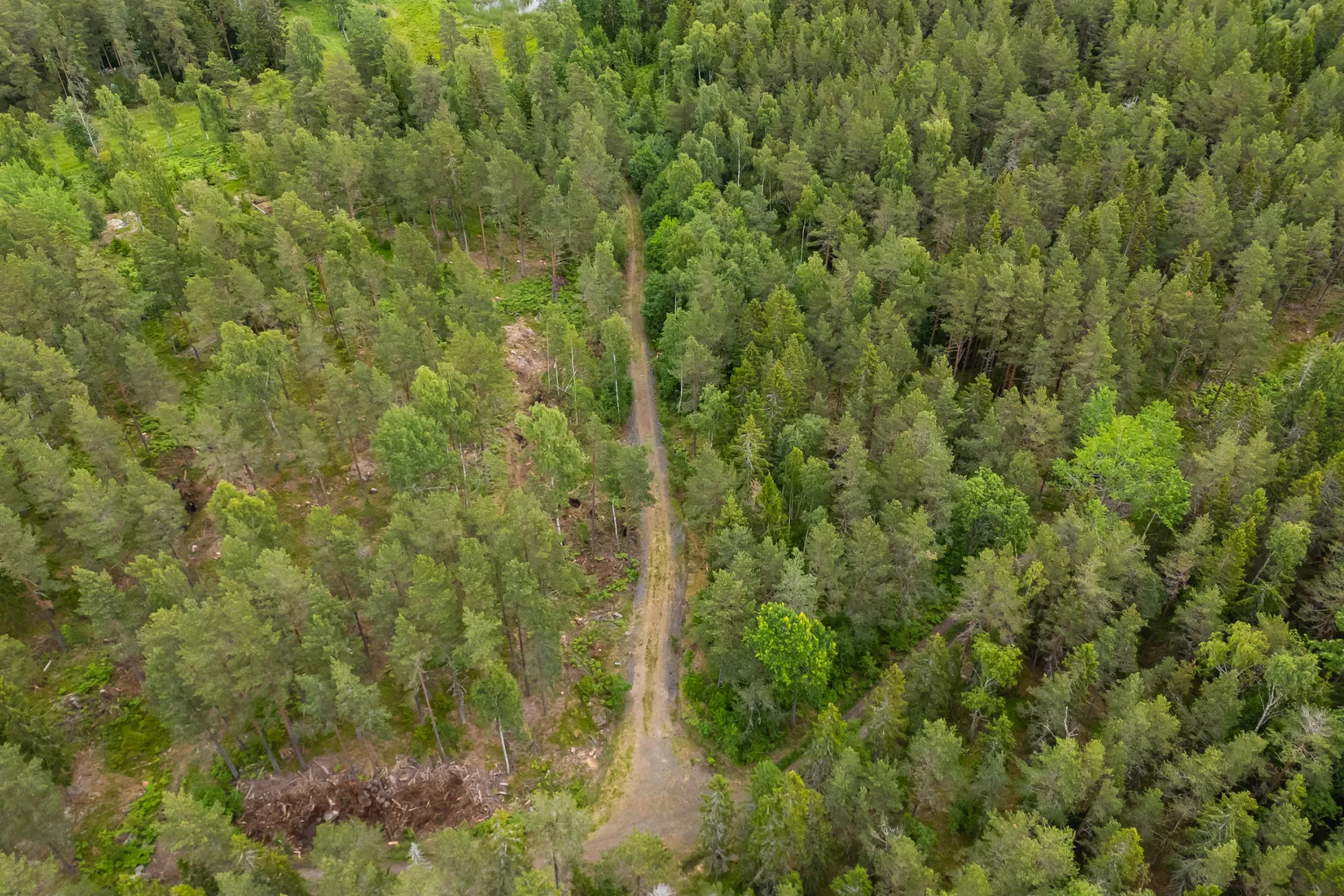 Tomt, Lösholmen, Söderön, Östhammar