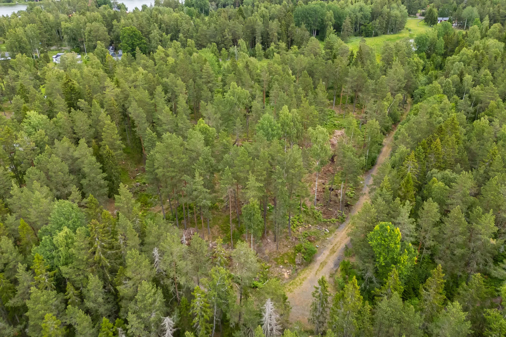 Tomt, Lösholmen, Söderön, Östhammar