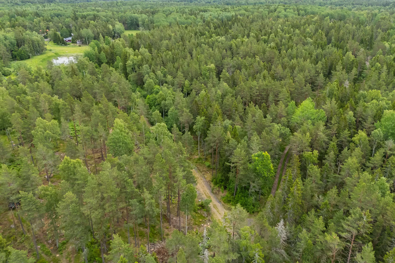 Tomt, Lösholmen, Söderön, Östhammar