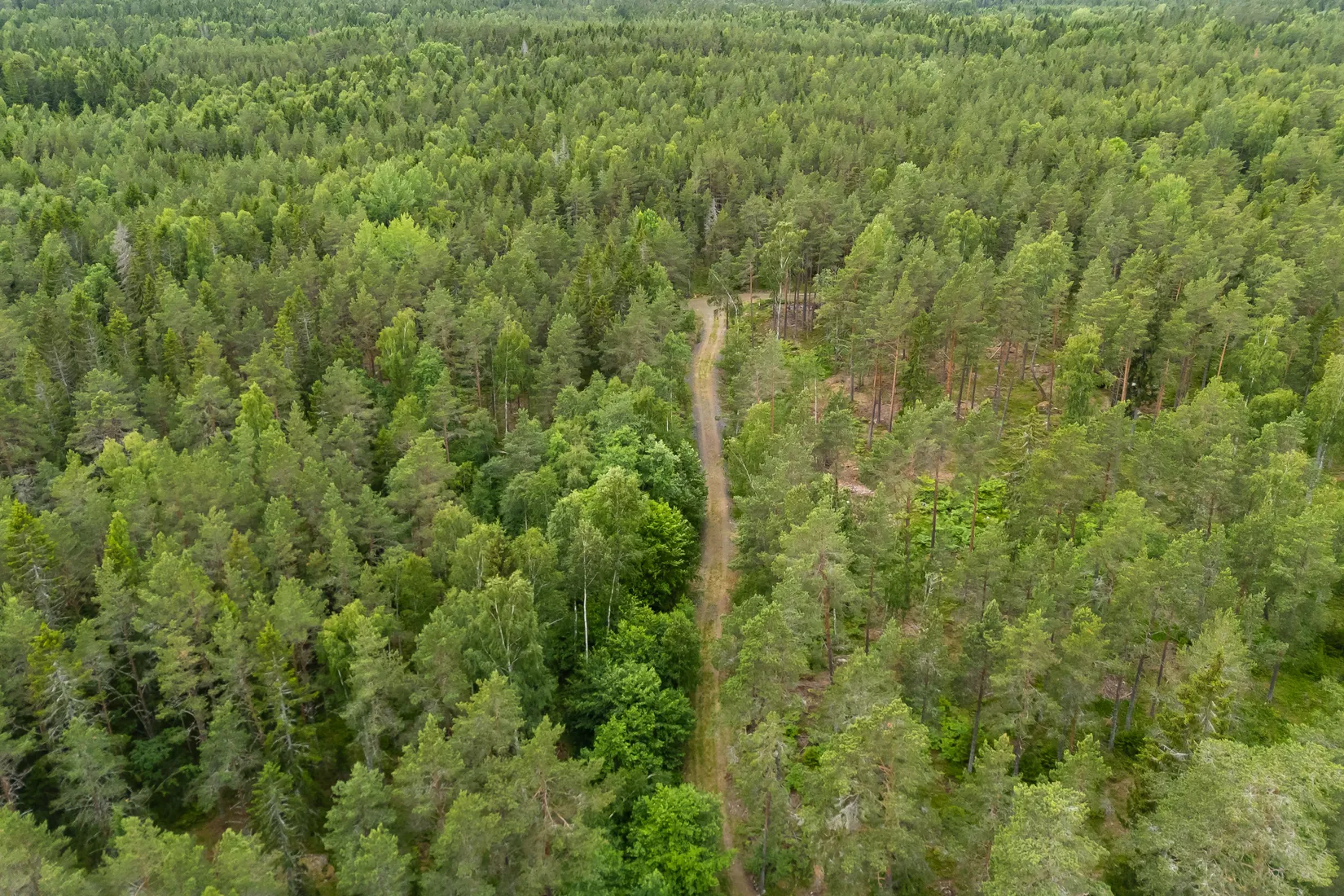 Tomt, Lösholmen, Söderön, Östhammar