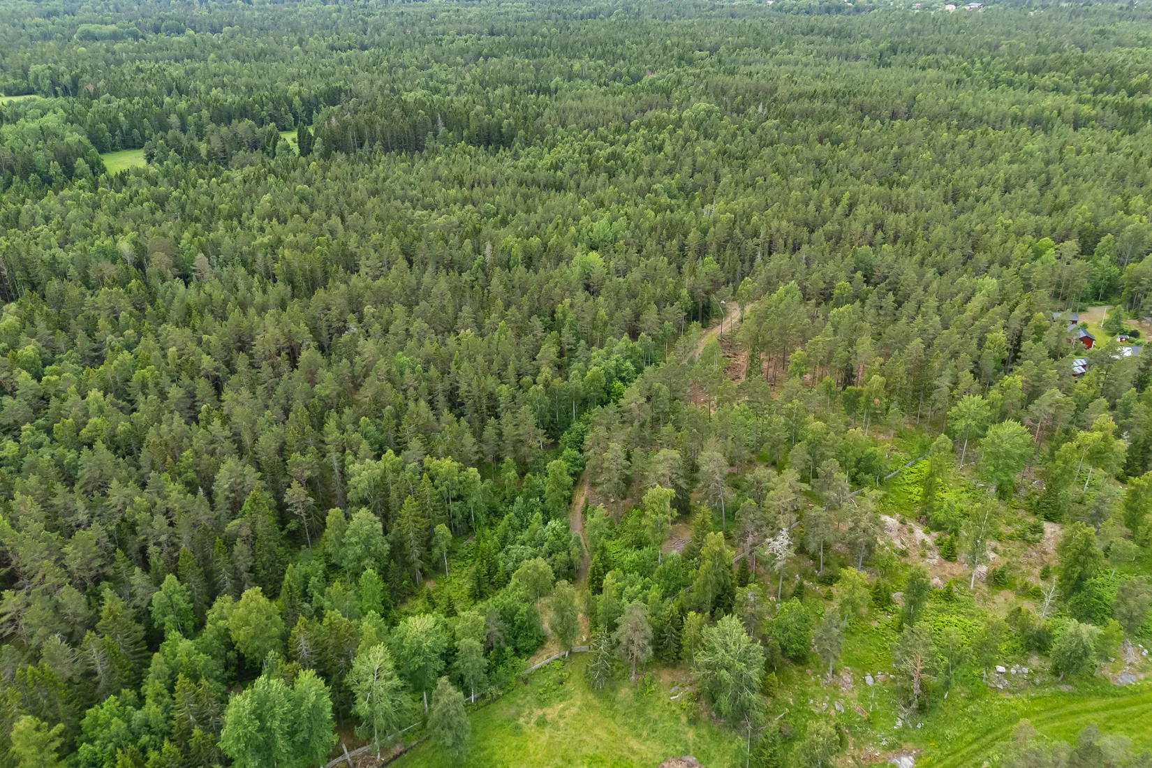 Tomt, Lösholmen, Söderön, Östhammar