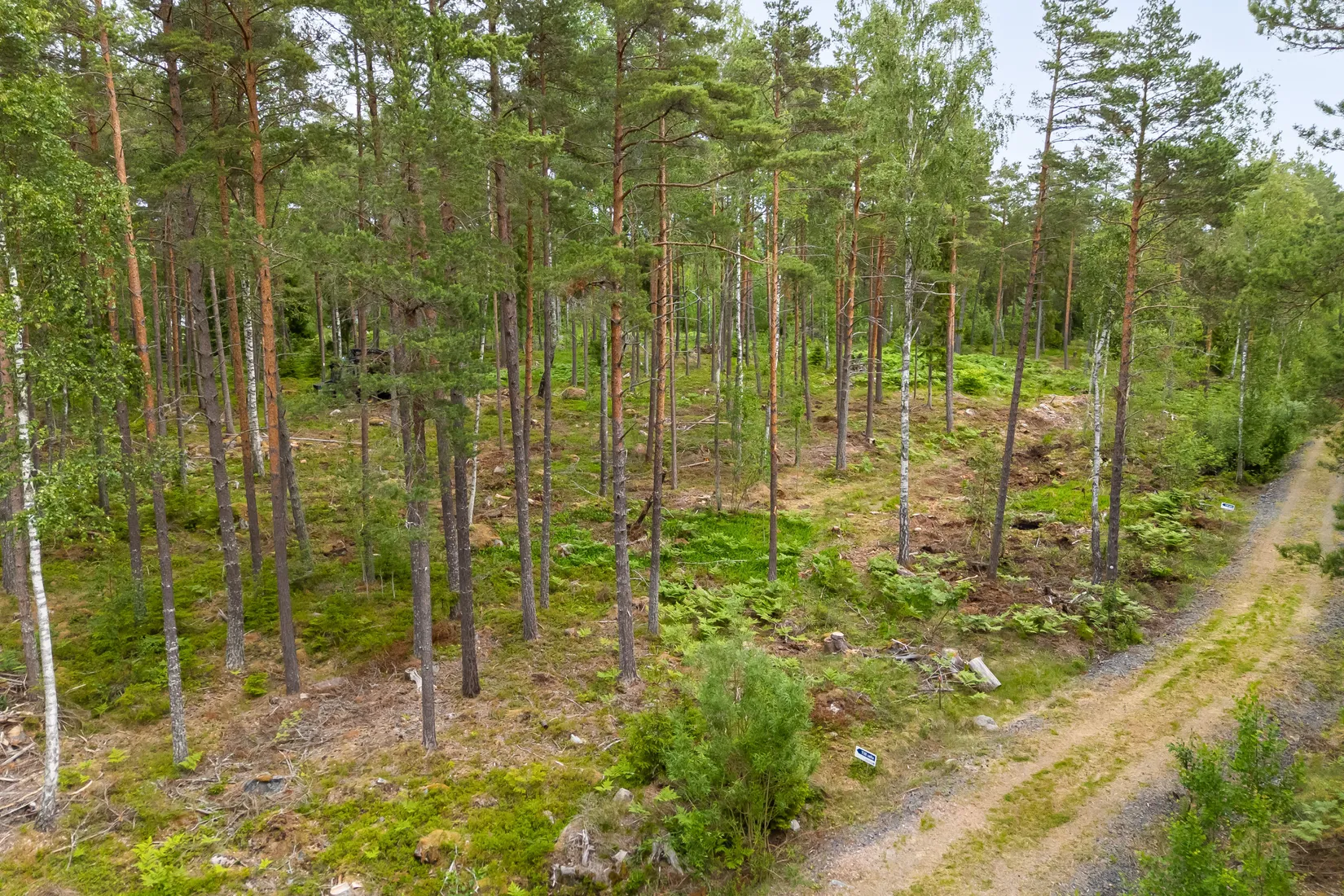 Tomt, Lösholmen, Söderön, Östhammar