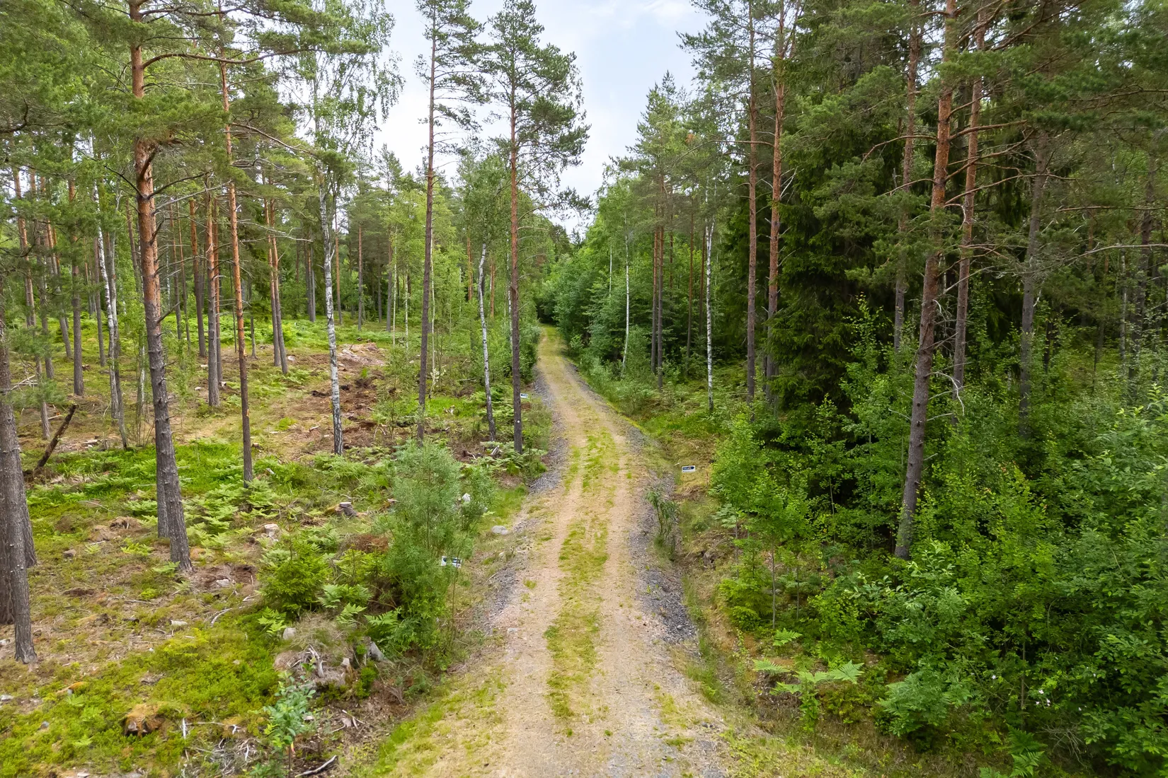 Tomt, Lösholmen, Söderön, Östhammar