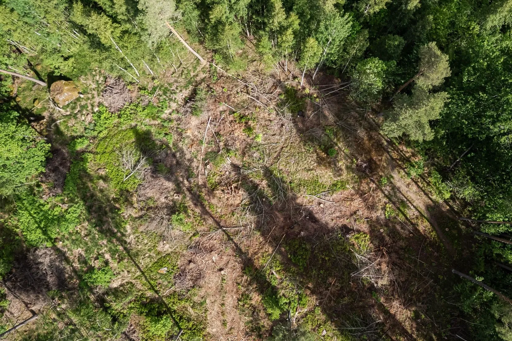 Tomt, LINKÖPING MALMSKOGEN 10:221, Tallboda, Linköping