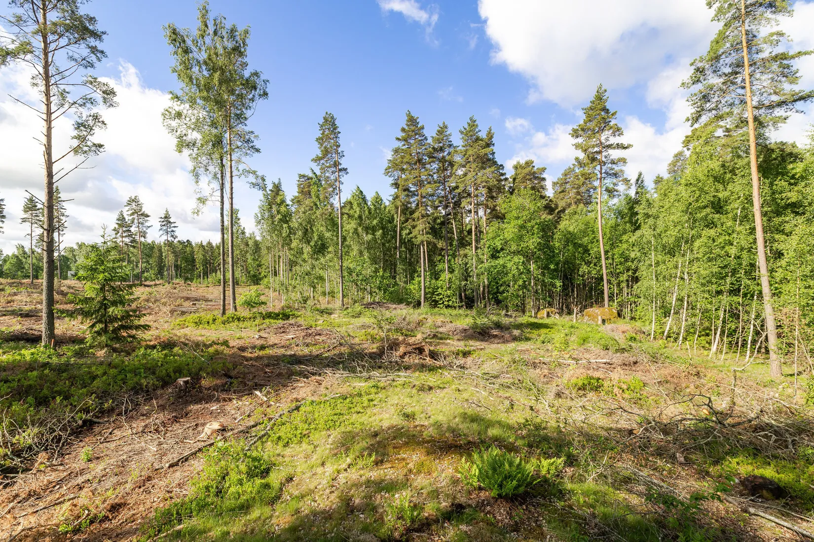 Tomt, LINKÖPING MALMSKOGEN 10:221, Tallboda, Linköping