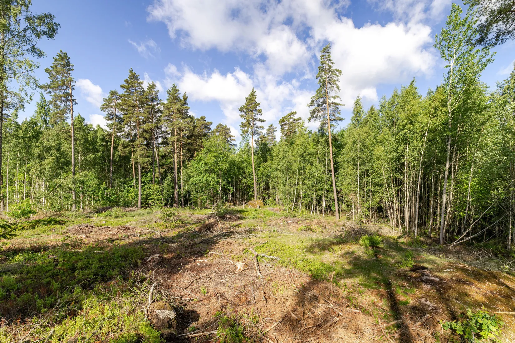 Tomt, LINKÖPING MALMSKOGEN 10:221, Tallboda, Linköping