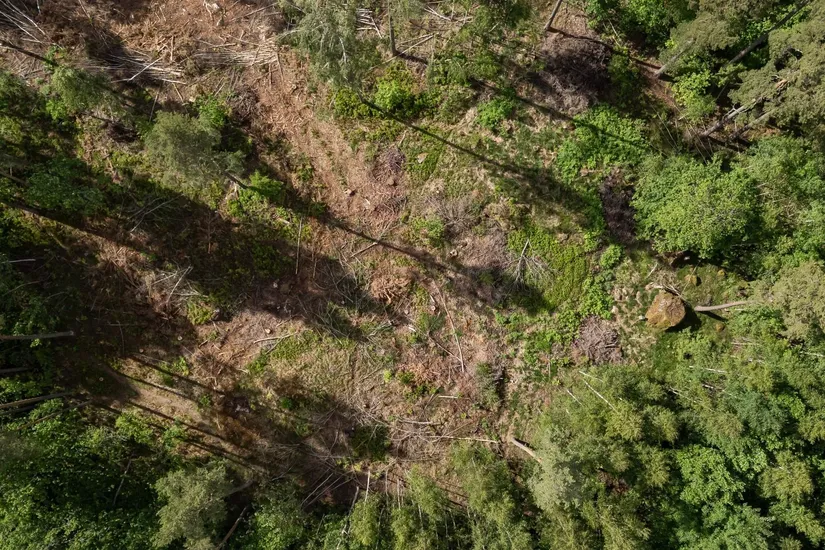 Tomt, LINKÖPING MALMSKOGEN 10:222, Tallboda, Linköping