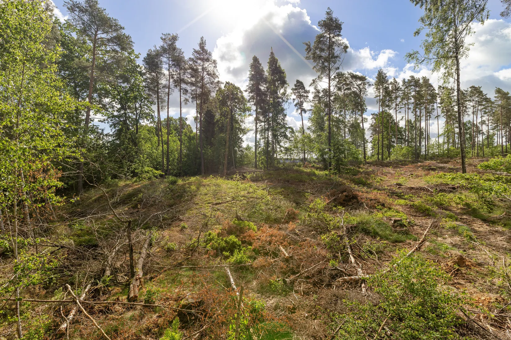 Tomt, LINKÖPING MALMSKOGEN 10:222, Tallboda, Linköping