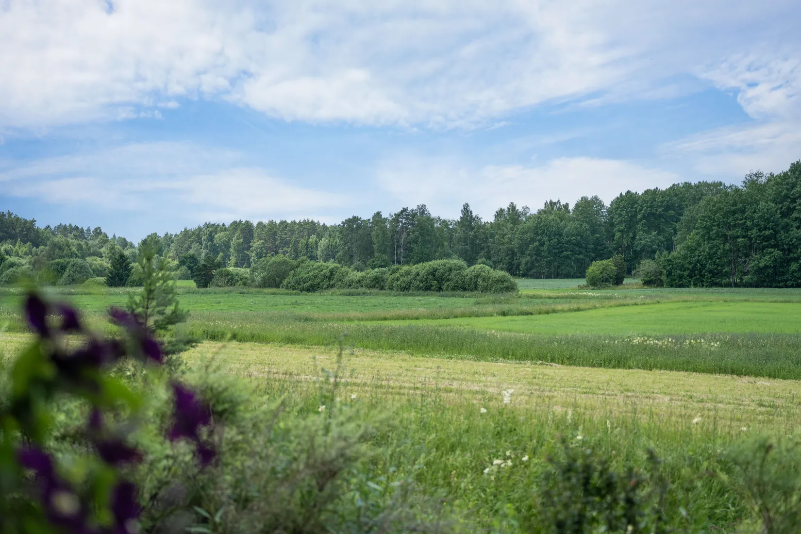Villa, Långängsberget 1, Härad, Strängnäs