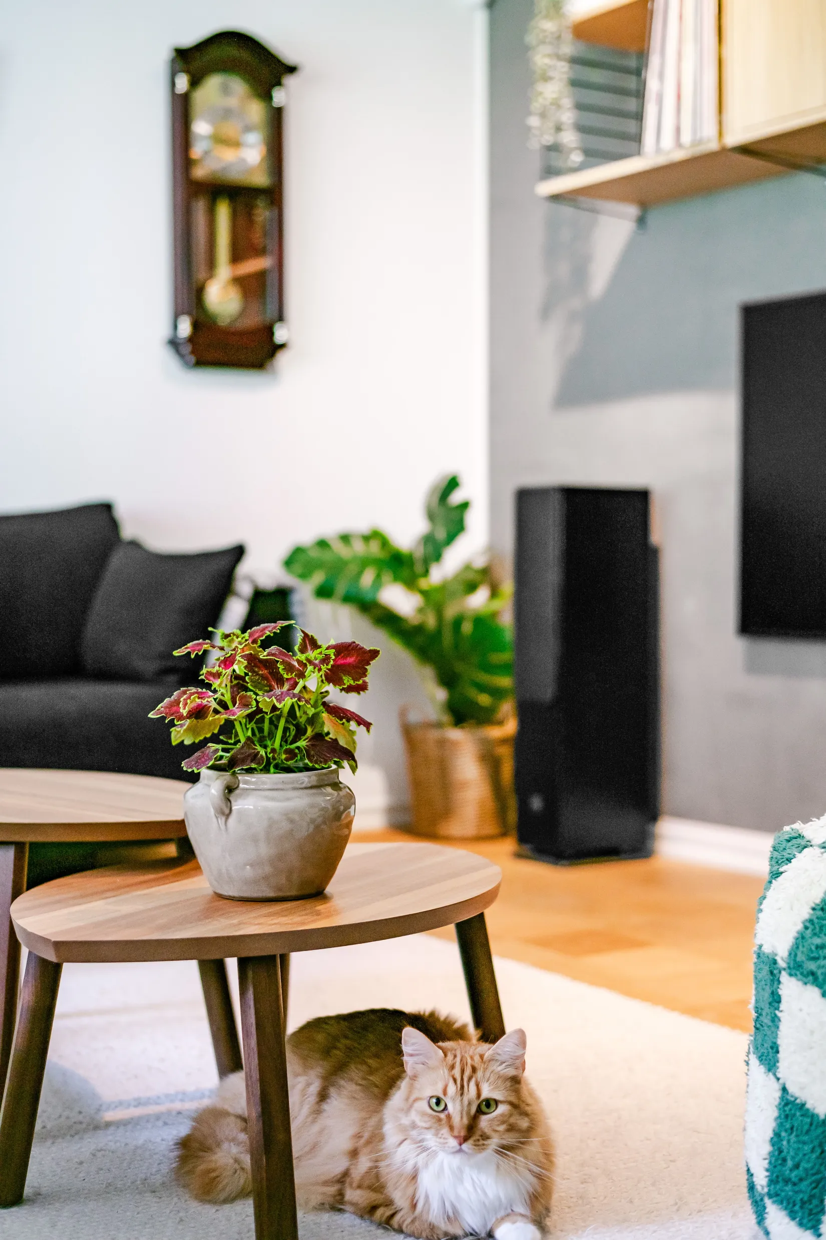 Villa, Burkarls väg 14, Skräddarbacken, Borlänge