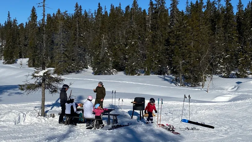 Fritidshus, Dracovägen 3, Idre Himmelfjäll, Älvdalen