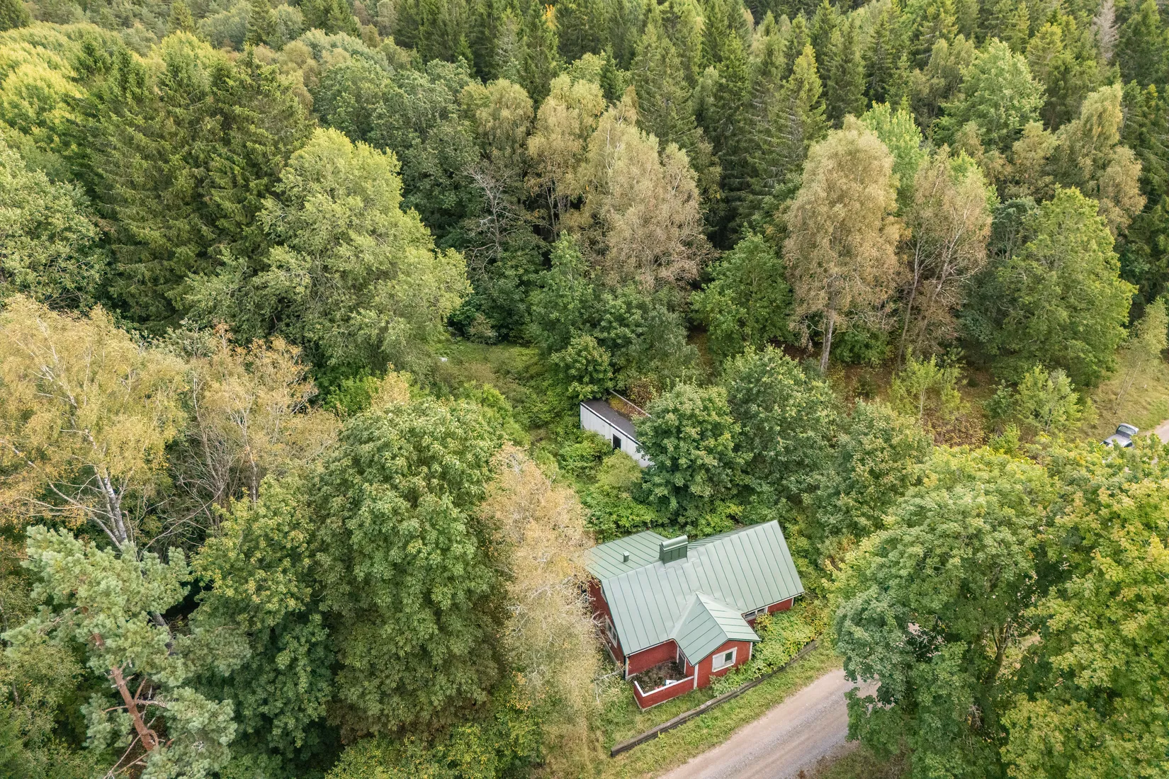 Gård/Skog, Hjortholmen 5178, Vittsjö, Hässleholm