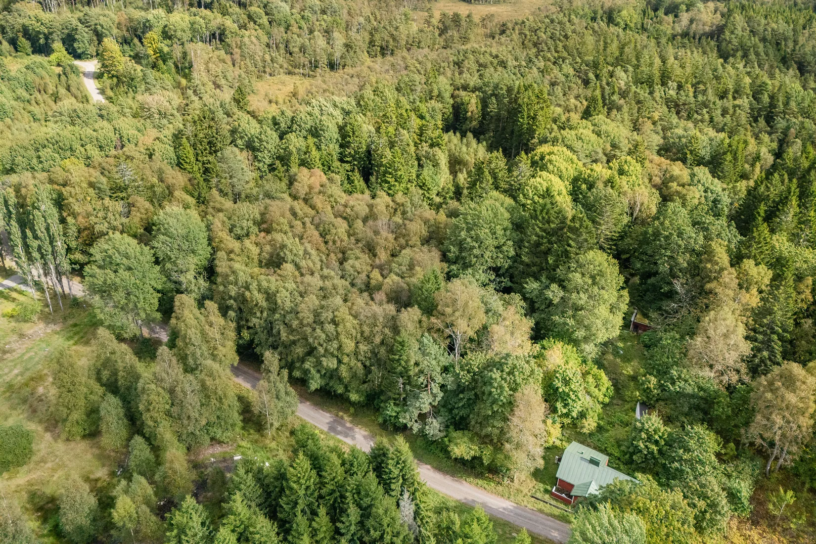 Gård/Skog, Hjortholmen 5178, Vittsjö, Hässleholm