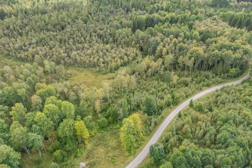 Gård/Skog, Hjortholmen 5178, Vittsjö, Hässleholm