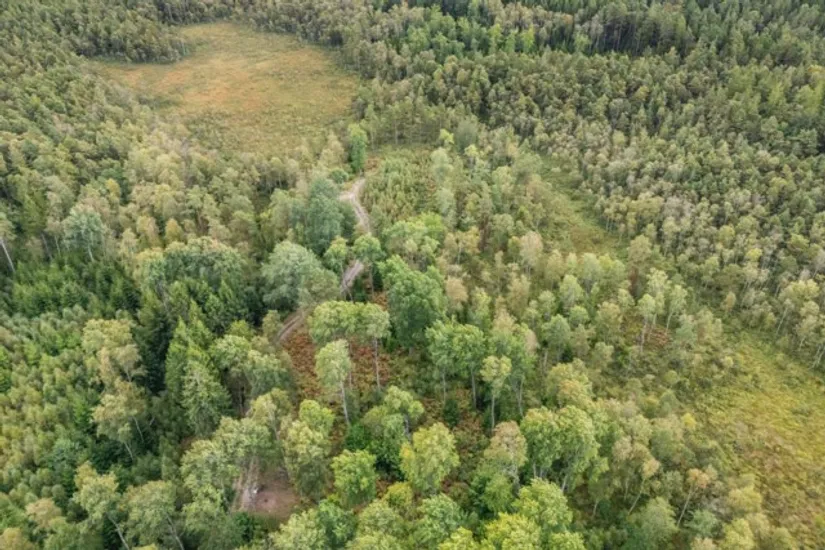 Gård/Skog, Hjortholmen 5178, Vittsjö, Hässleholm