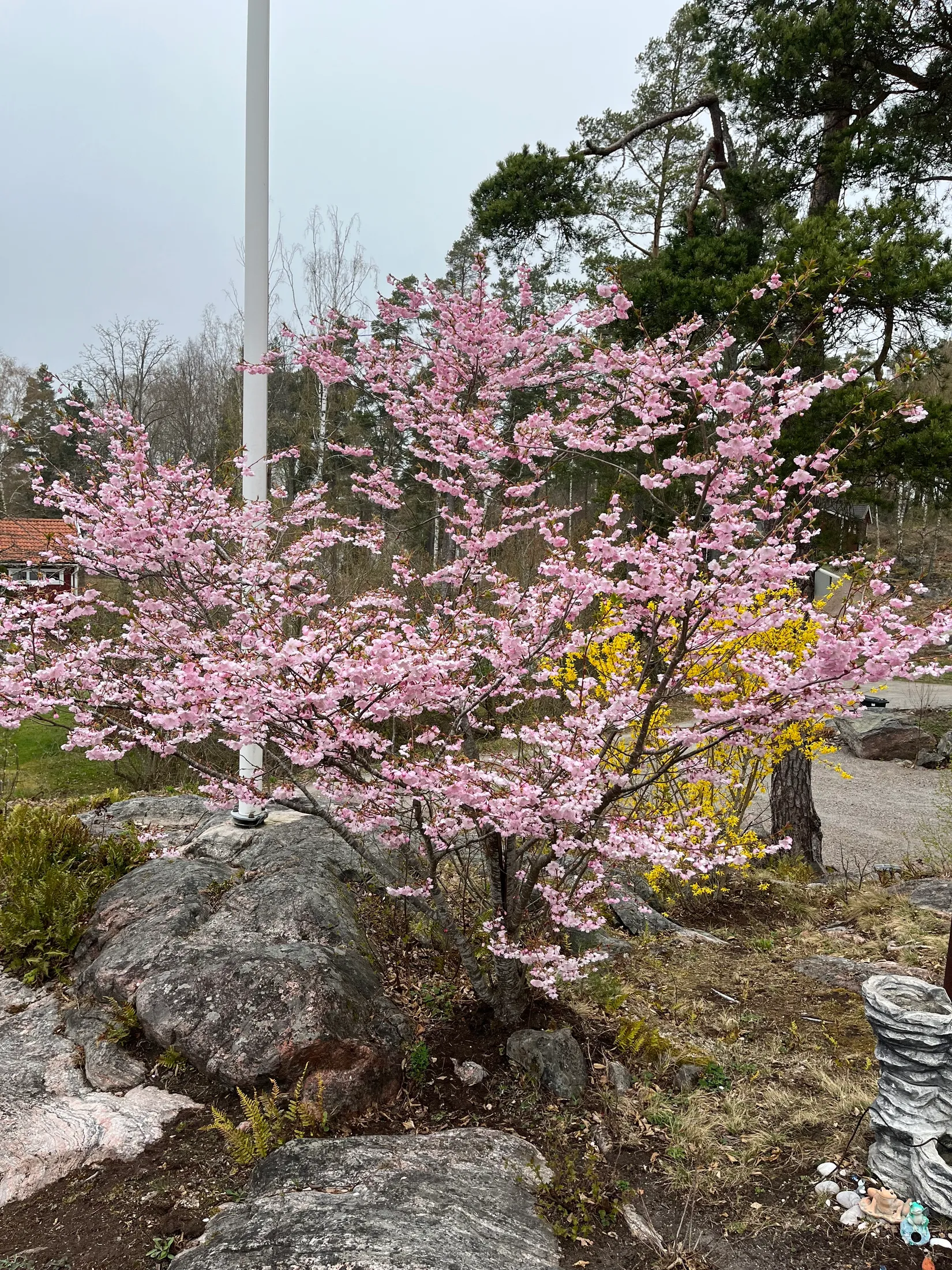 Villa, Uvmarö Knallen 5, Norra Finnö - Uvmarö, Söderköping
