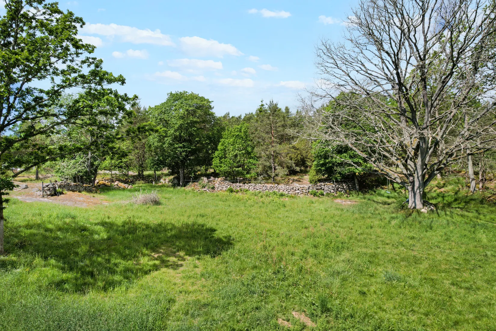 Gård/Skog, Trollebodavägen 16, Trolleboda, Ronneby