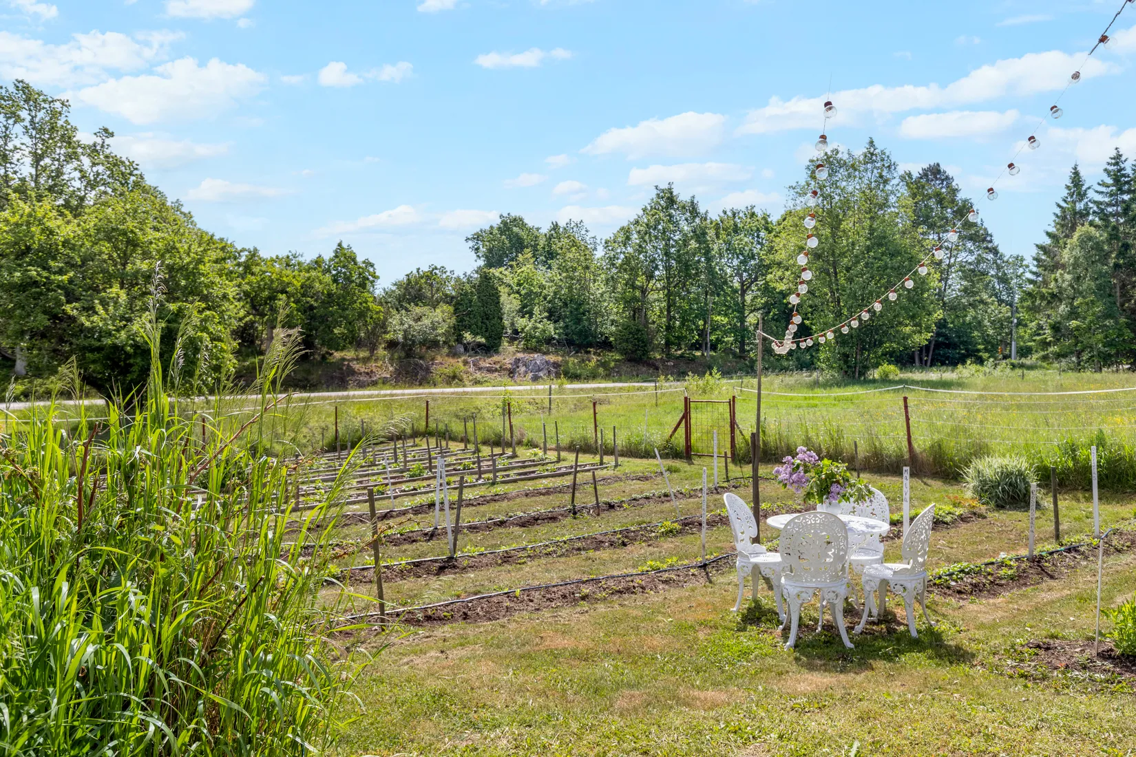 Gård/Skog, Trollebodavägen 16, Trolleboda, Ronneby