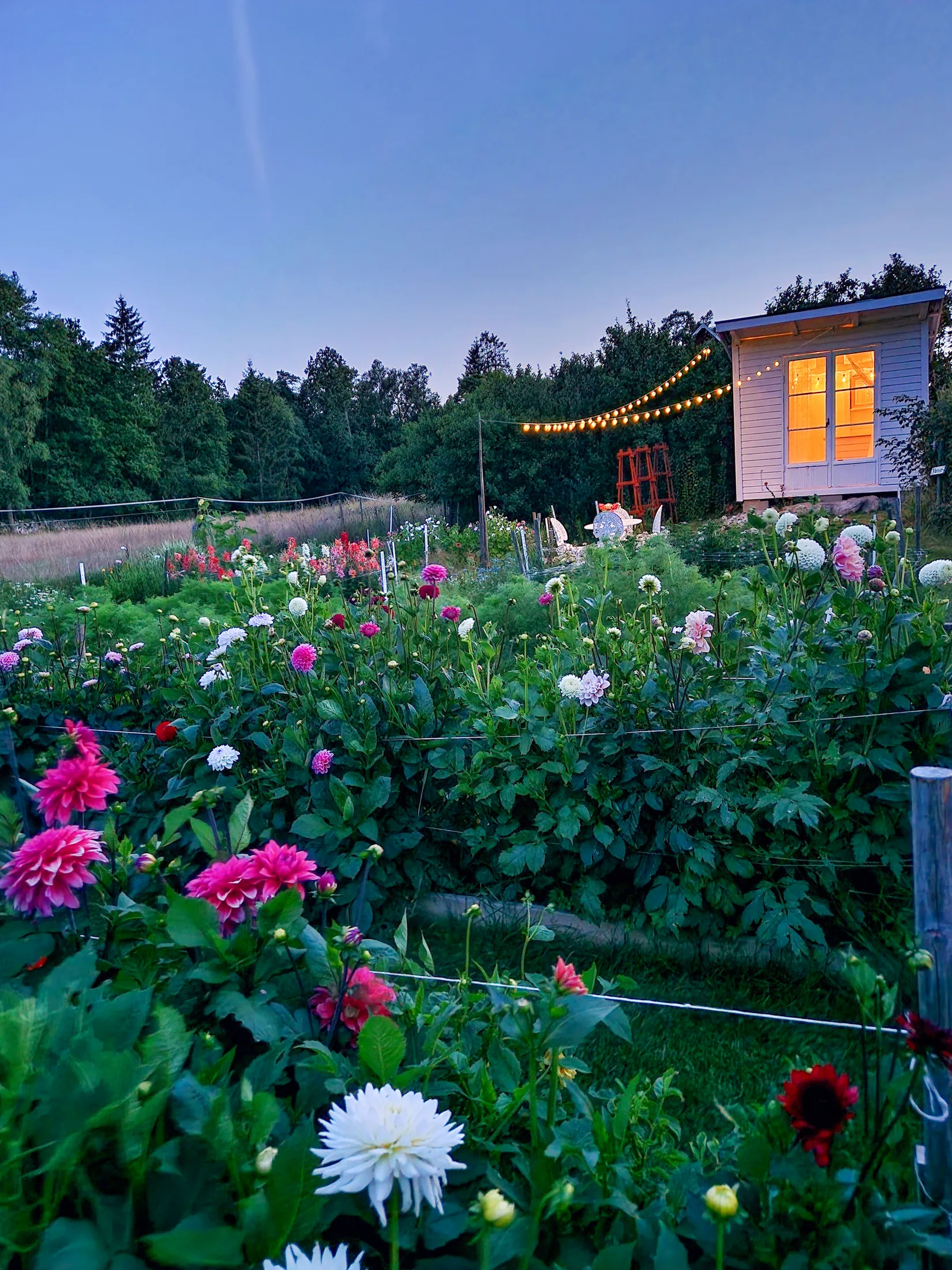 Gård/Skog, Trollebodavägen 16, Trolleboda, Ronneby