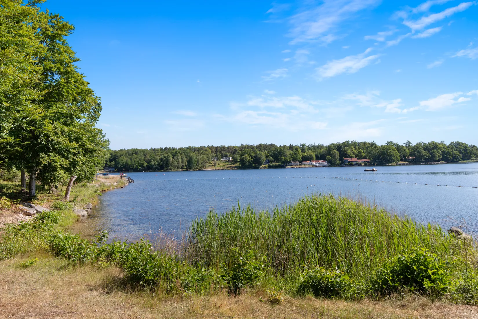 Gård/Skog, Trollebodavägen 16, Trolleboda, Ronneby