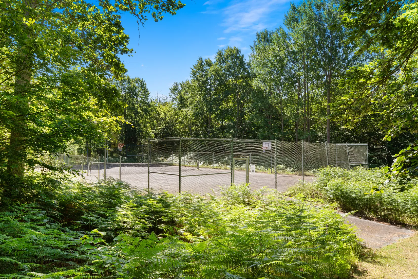 Gård/Skog, Trollebodavägen 16, Trolleboda, Ronneby