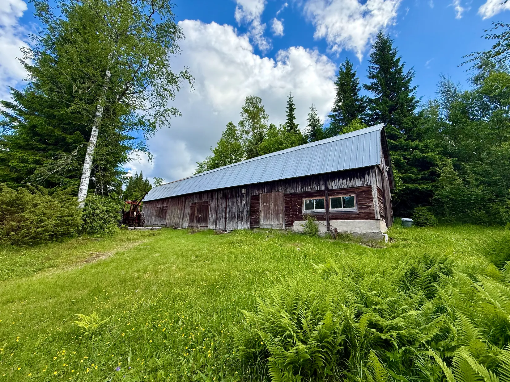 Gård/Skog, Ulvsjön 19, Torsby