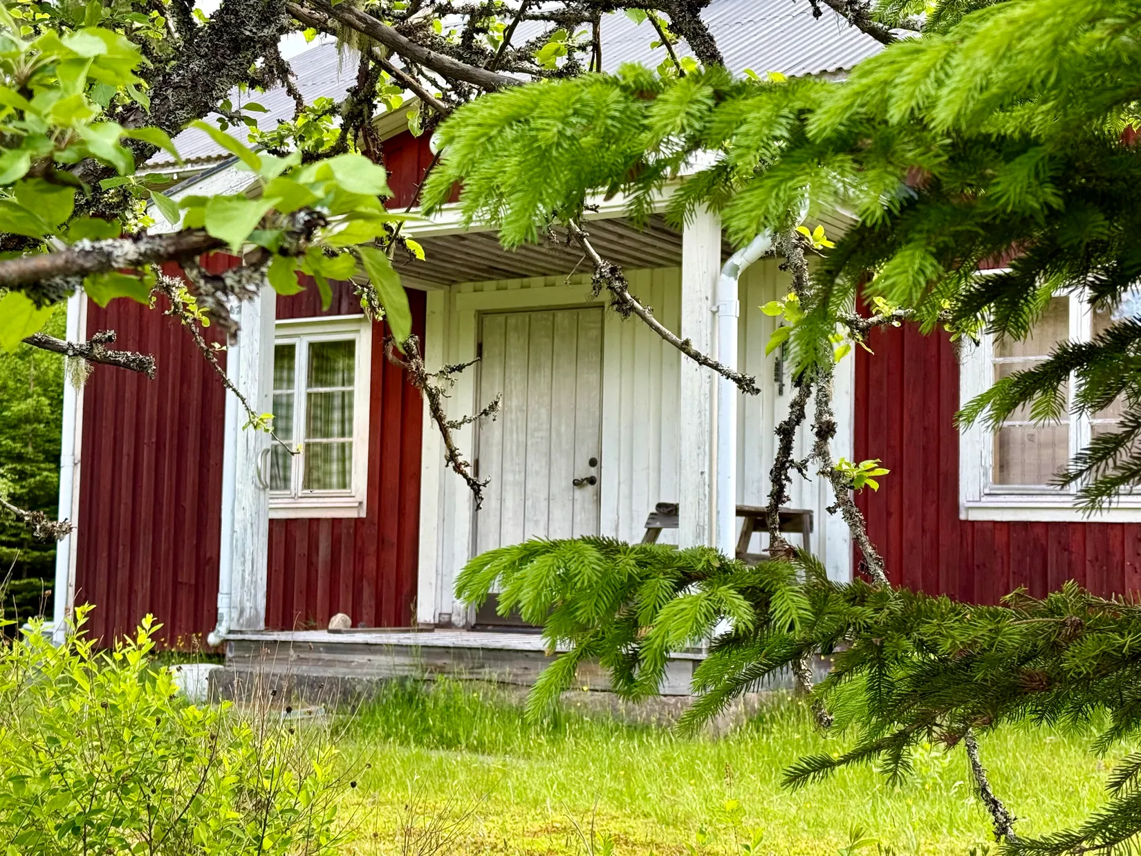 Gård/Skog, Ulvsjön 19, Torsby