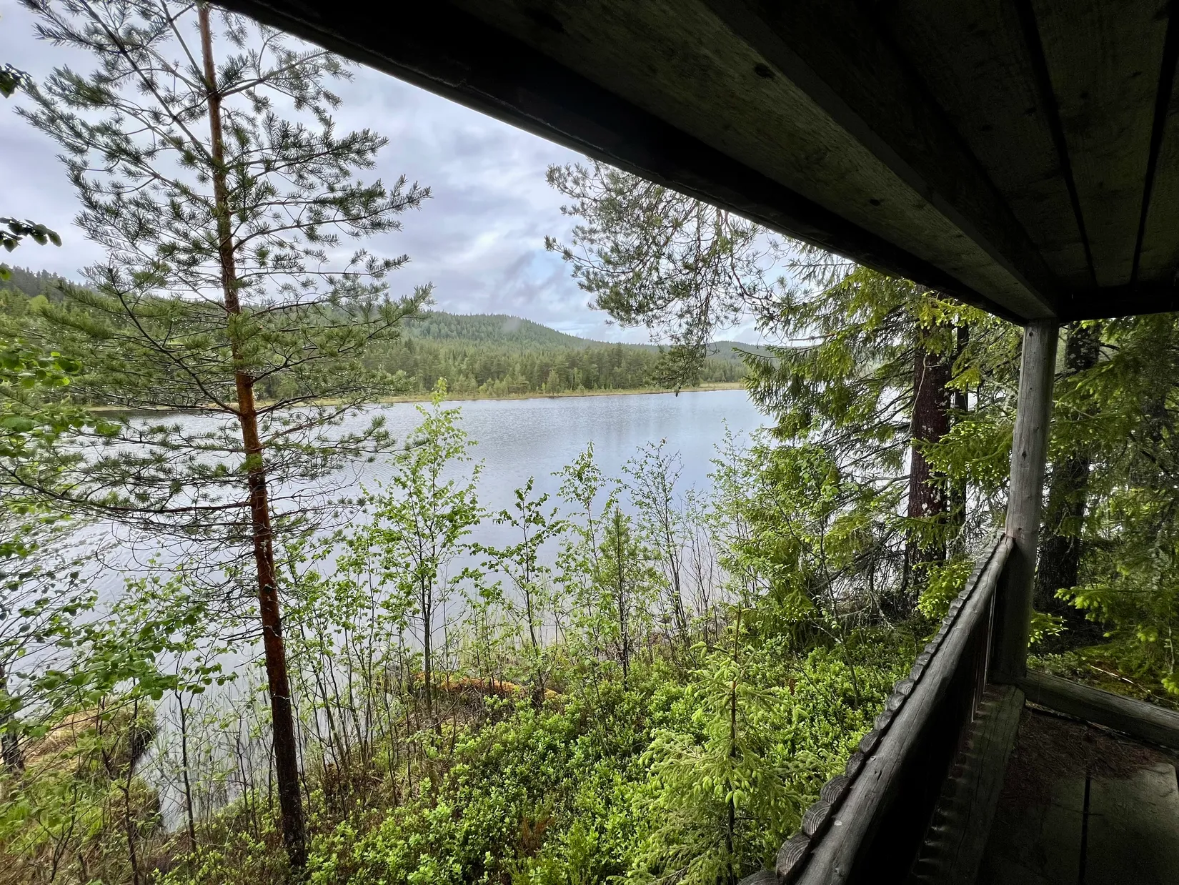 Gård/Skog, Ulvsjön 19, Torsby