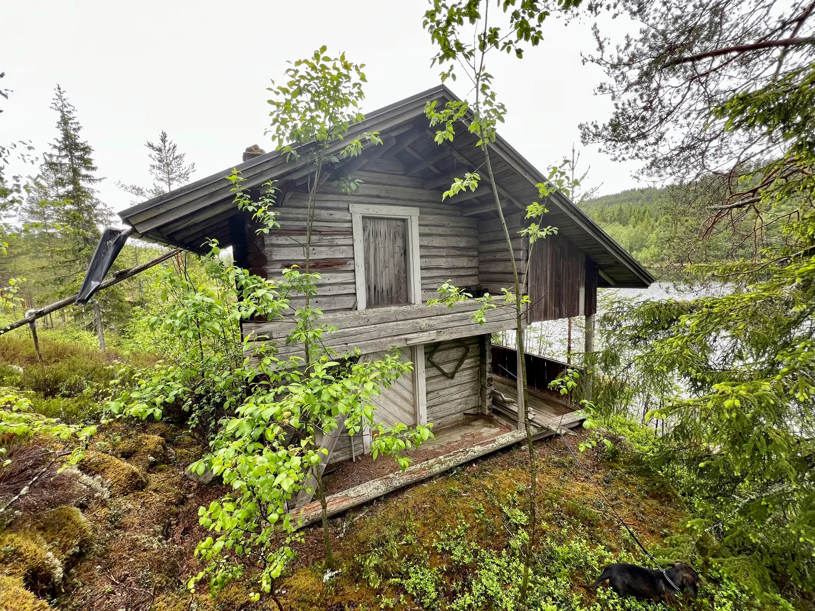 Gård/Skog, Ulvsjön 19, Torsby