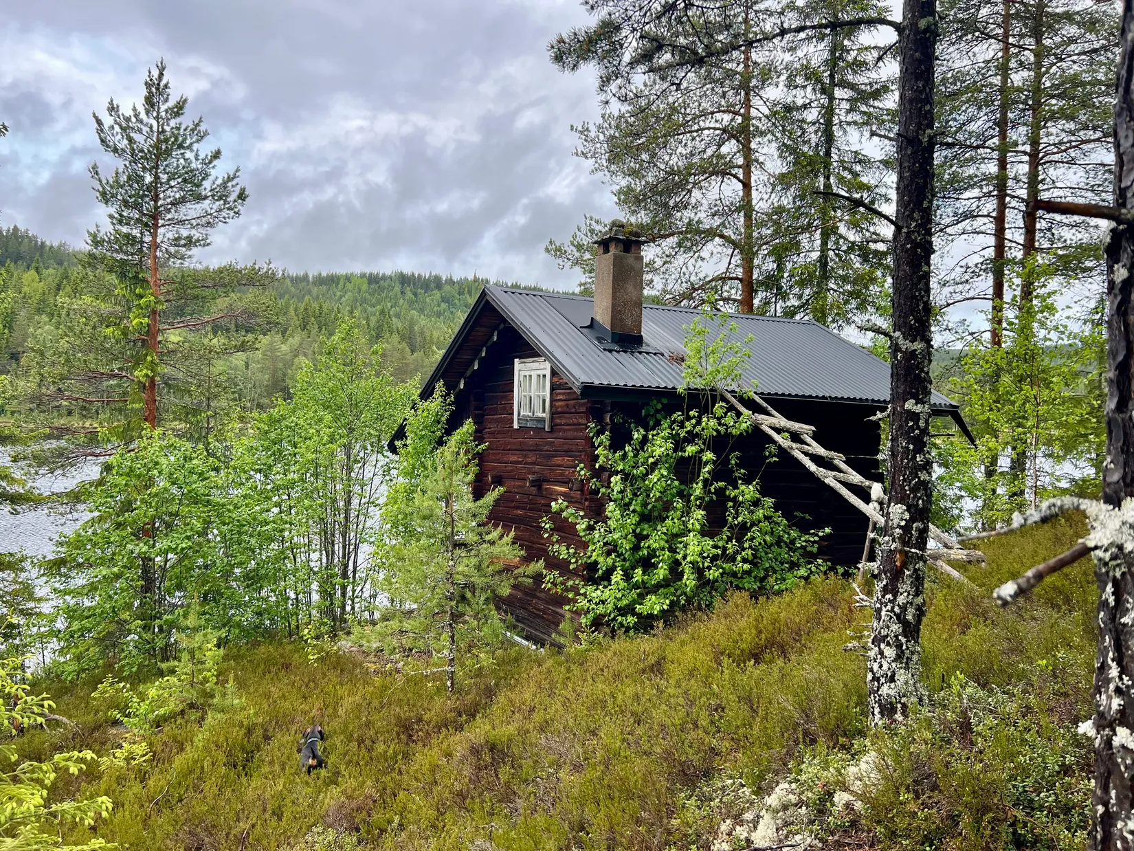 Gård/Skog, Ulvsjön 19, Torsby