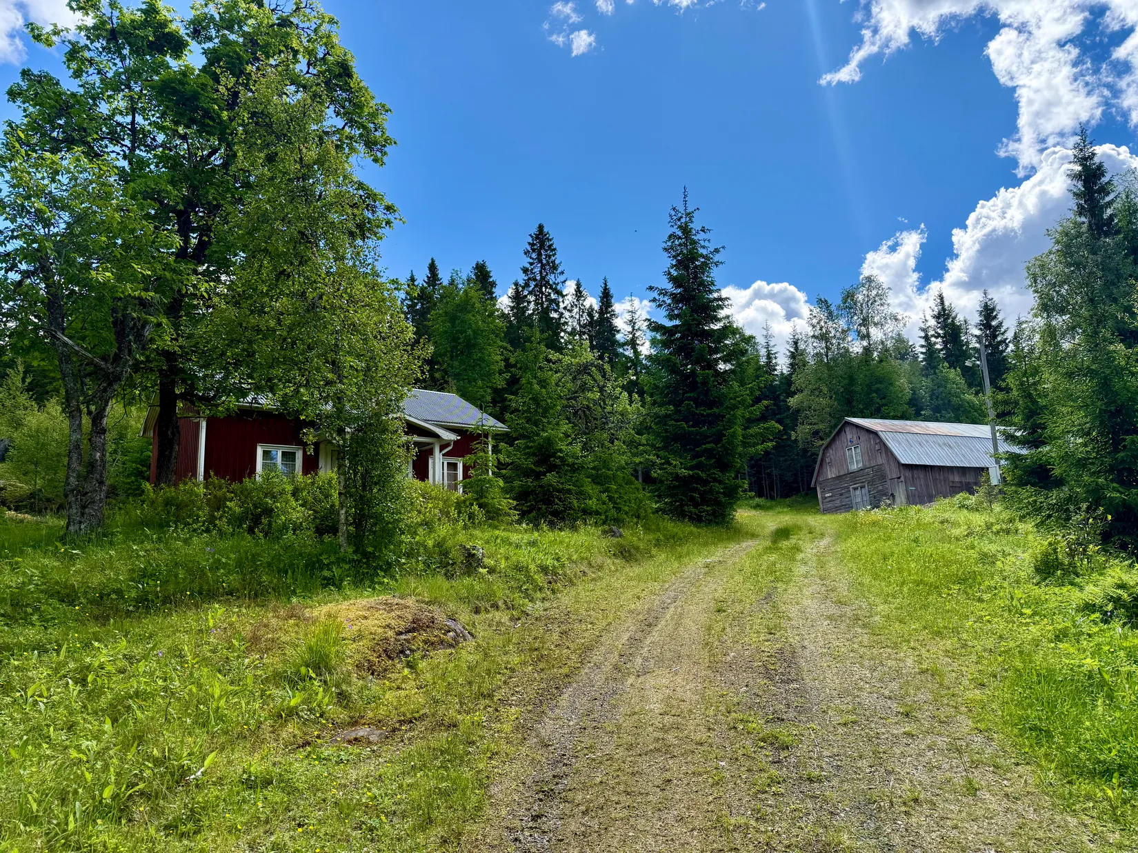 Gård/Skog, Ulvsjön 19, Torsby