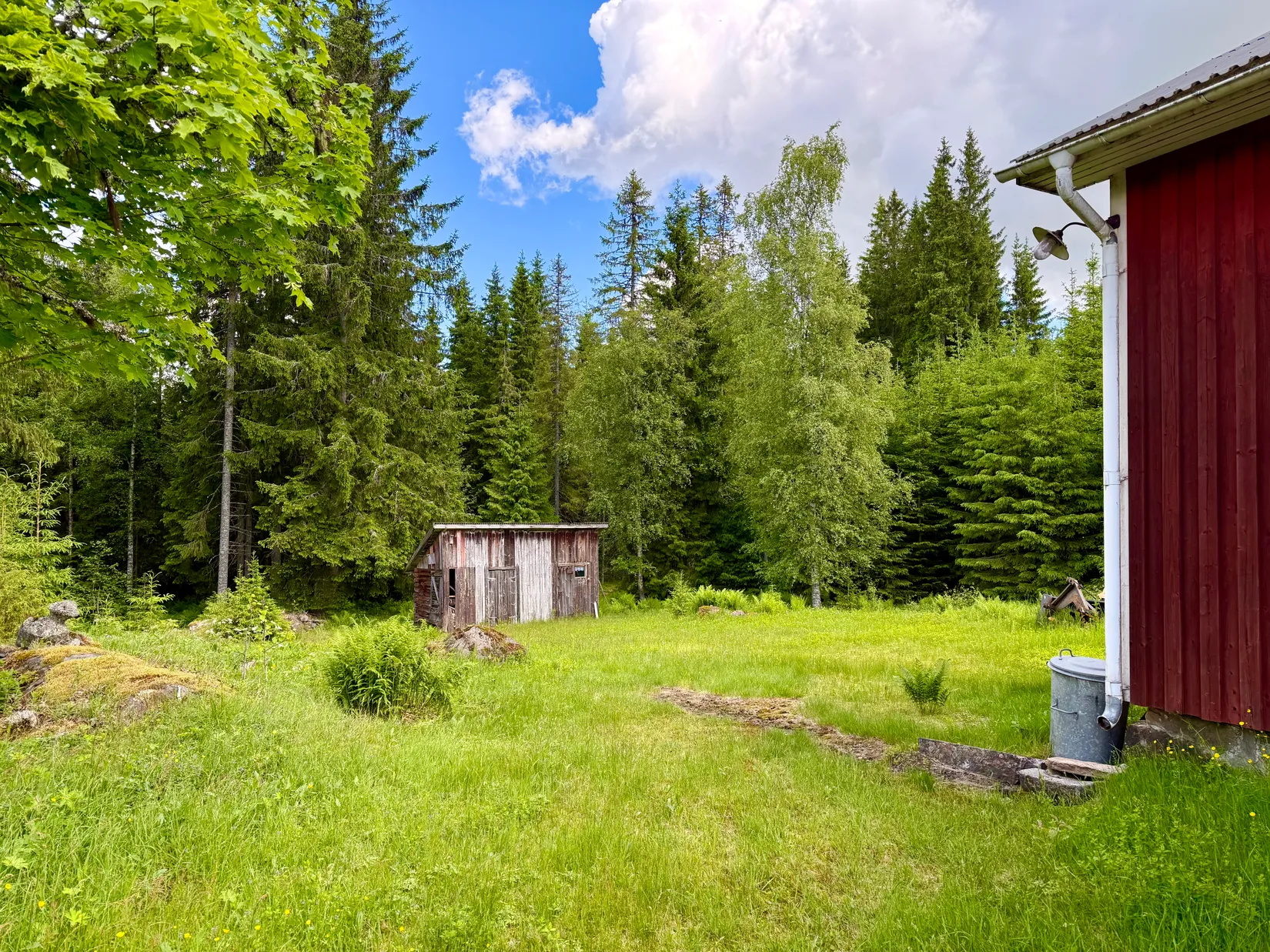 Gård/Skog, Ulvsjön 19, Torsby
