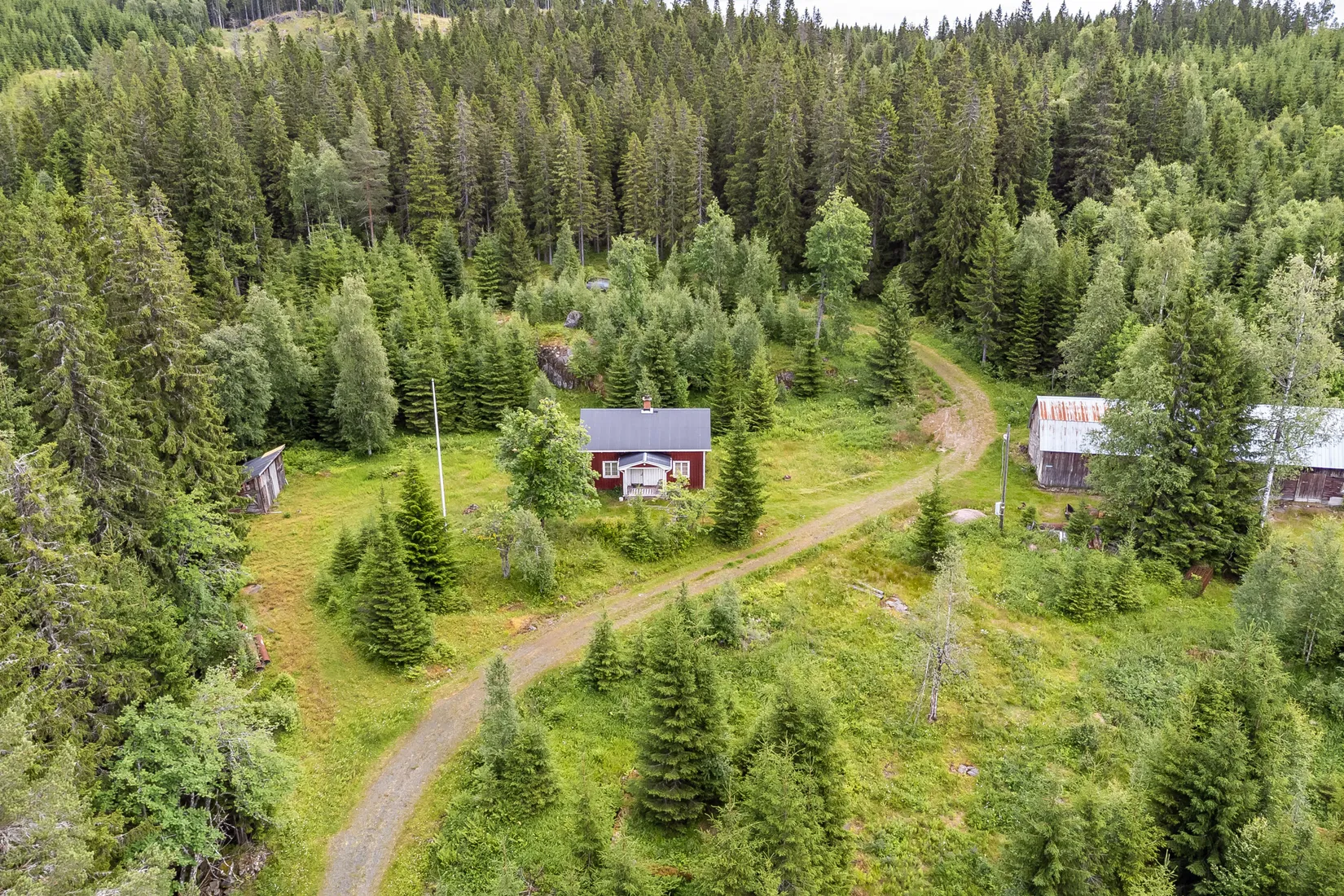 Gård/Skog, Ulvsjön 19, Torsby