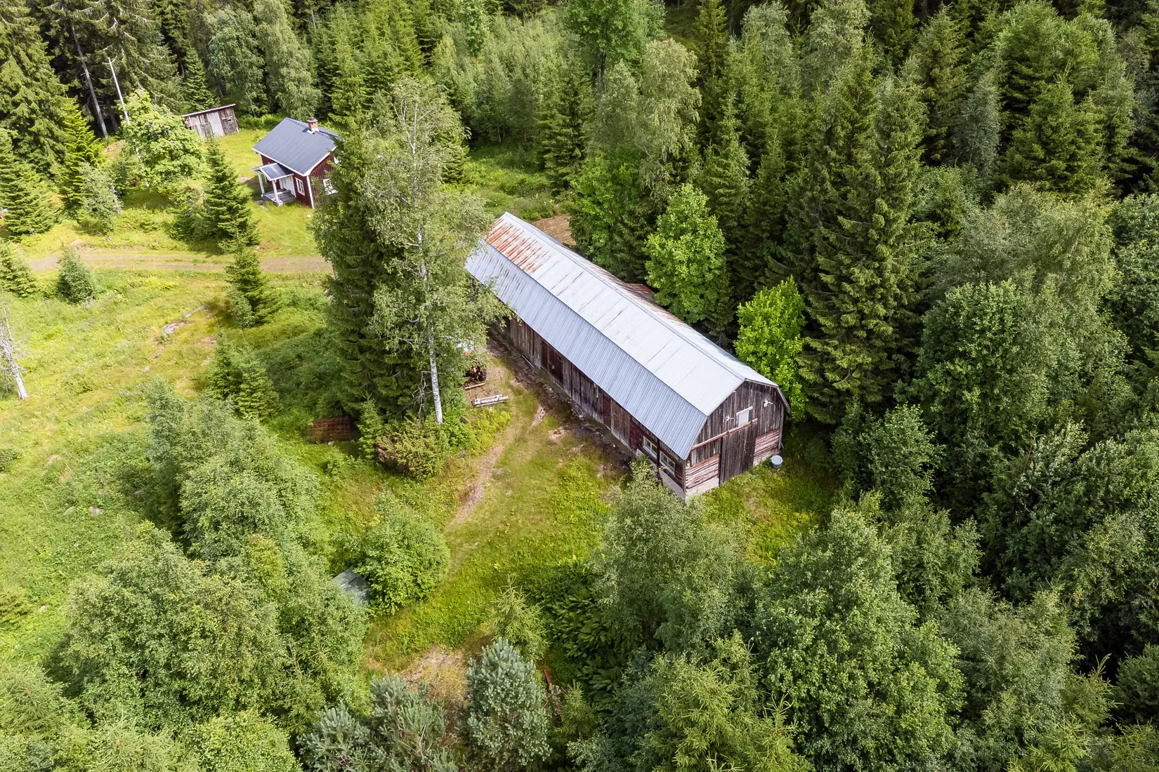 Gård/Skog, Ulvsjön 19, Torsby