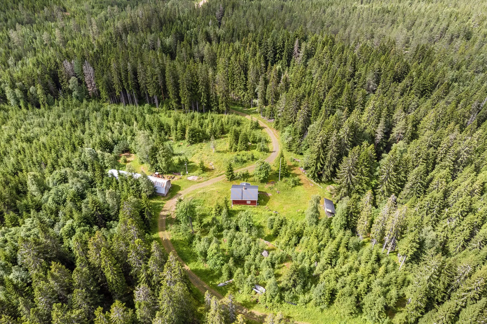Gård/Skog, Ulvsjön 19, Torsby