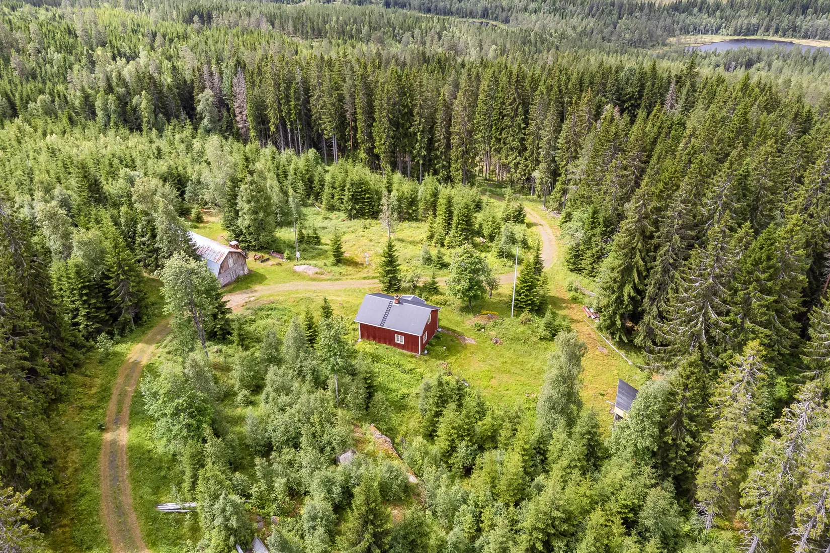 Gård/Skog, Ulvsjön 19, Torsby