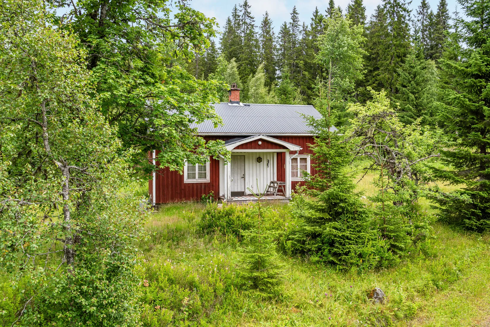 Gård/Skog, Ulvsjön 19, Torsby